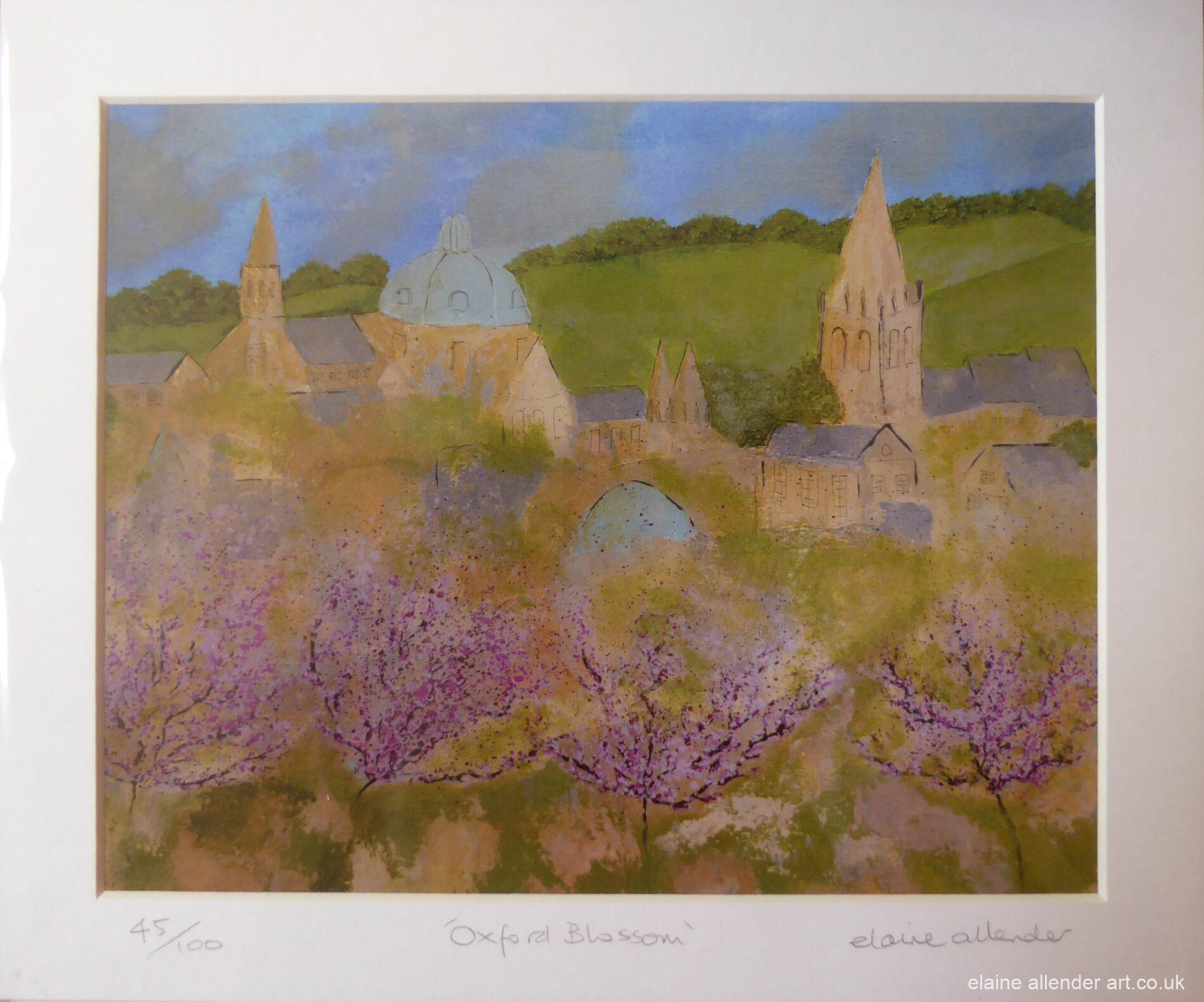 Oxford Blossom